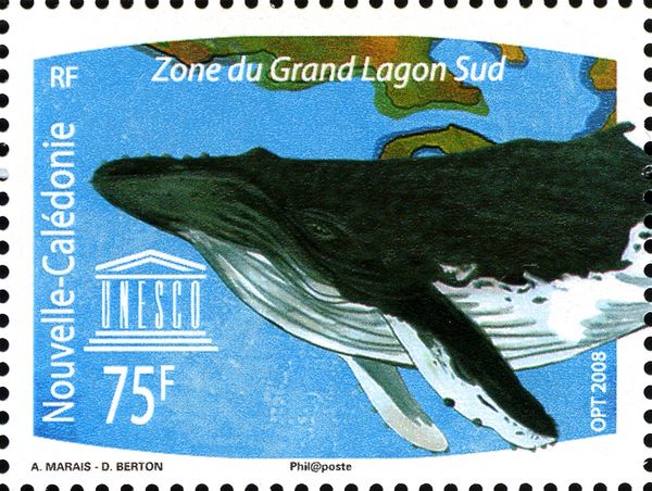 Humpback Whale (Megaptera novaeangliae)