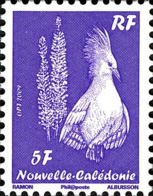 Kagu (Rhynochetos jubatus)