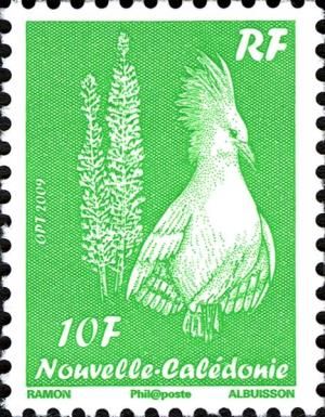 Kagu (Rhynochetos jubatus)