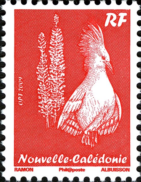 Kagu (Rhynochetos jubatus)