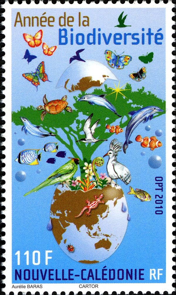 Year of Biodiversity
