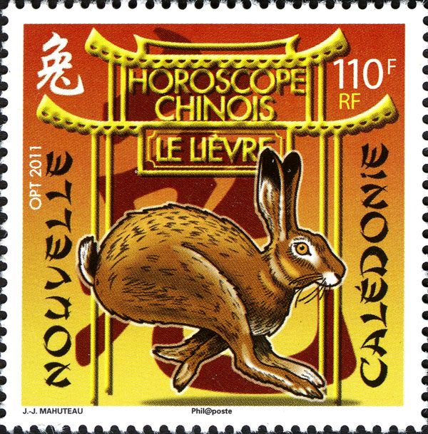 Hare (Lepus sp.)