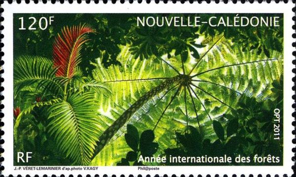 International Year of Forests