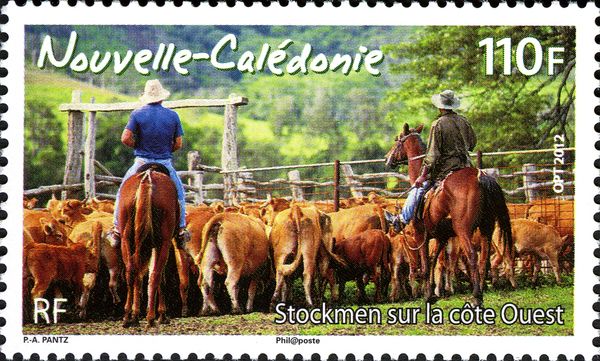 Cattle Herd (Bos primigenius taurus), Stockmen