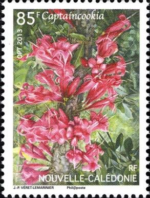 Ixora margaretae