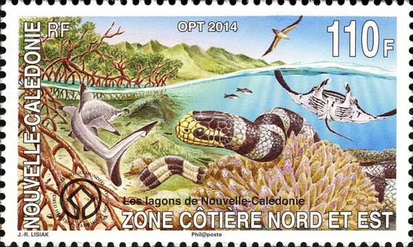 Blacktip Reef Shark (C. melanopterus), Krait (Hydrophis sp.)