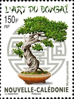 The Art of Bonsai