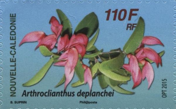 Arthroclianthus deplanchei
