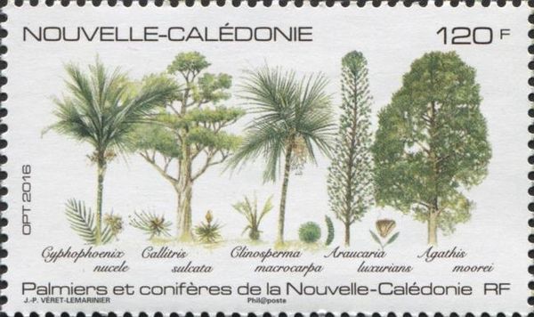 Trees of New Caledonia