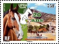 20th Anniversary of UPRA Equine in New Caledonia