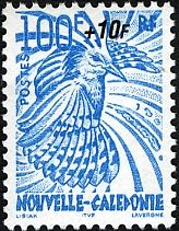 Kagu (Rhynochetos jubatus)