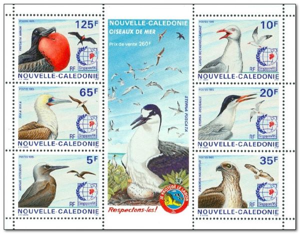 Seabirds