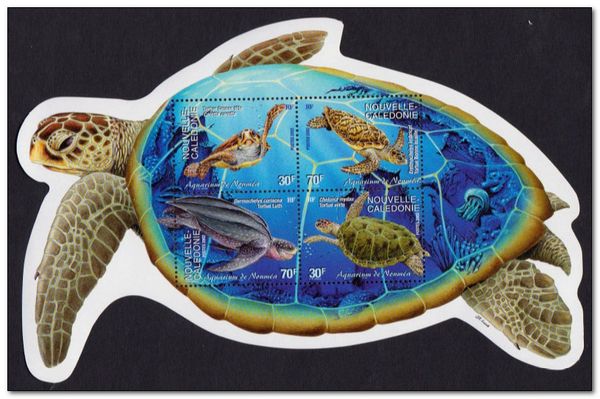 Sea Turtle