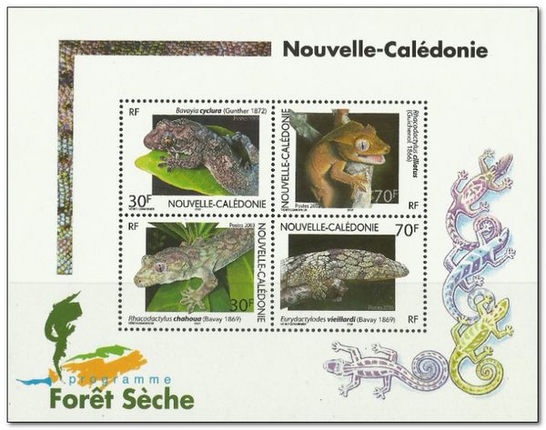 Geckos