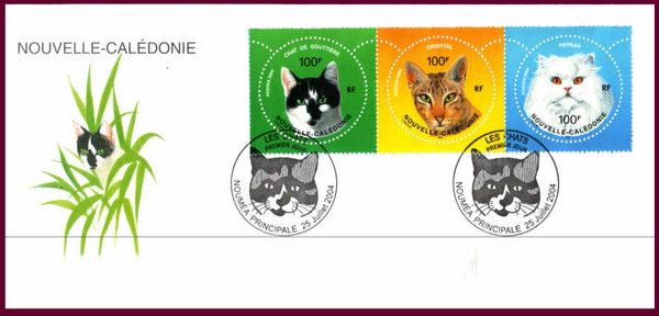 Cats