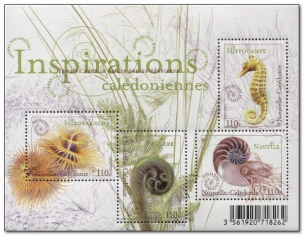 Caledonian Inspirations : Spirals in Nature