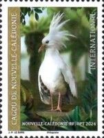 Crested Kagou (Rhynochetos jubatus)