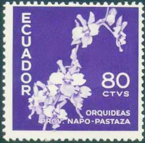 Orchids