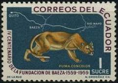 Mejia