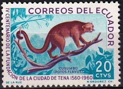 Kinkajou (Potos flavus)