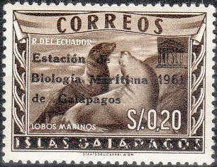 South American Sea Lion (Otaria byronia) - overprinted