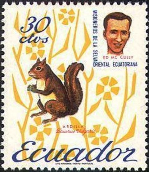 Squirrel (Sciurus vulgaris), Ed McCully