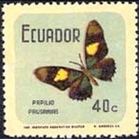 Swallowtail (Papilio pausanias)