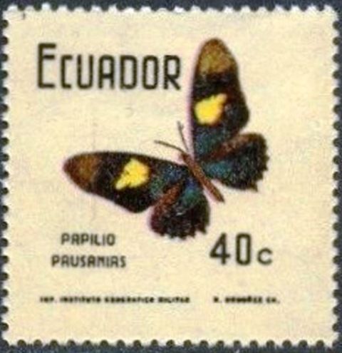Swallowtail (Papilio pausanias)