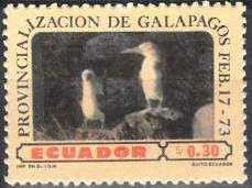Blue-footed Booby (Sula nebouxii)
