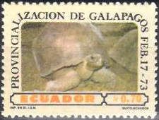 Galapagos Tortoise (Chelonoidis nigra)