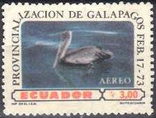 Brown Pelican (Pelecanus occidentalis)