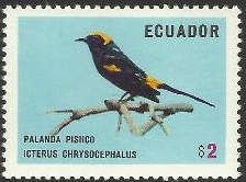 Moriche Oriole (Icterus chrysocephalus) (see Description)