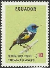 Blue-necked Tanager (Tangara cyanicollis)