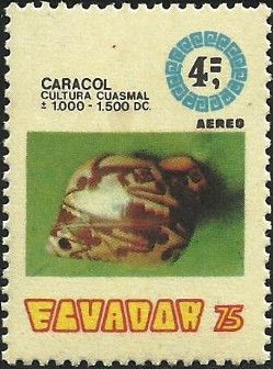 Snail (1000-1500)