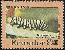 Monarch Butterfly (Danaus plexippus)