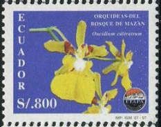 Oncidium cultratum