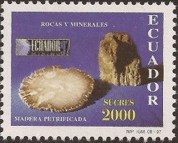 Silicified wood