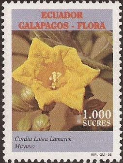 Cordia lutea