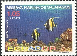 Moorish Idol (Zanclus cornutus)