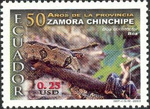 Boa Constrictor (Boa constrictor)