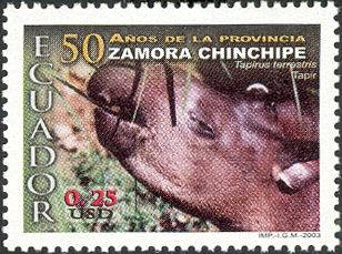 Lowland Tapir (Tapirus terrestris)