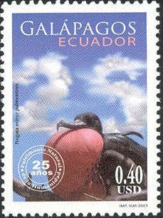 Great Frigatebird (Fregata minor palmerstoni), clouds)