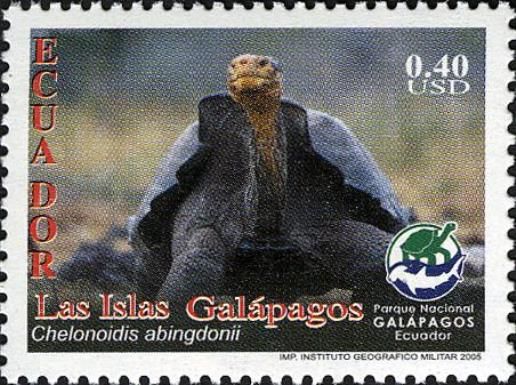Pinta Island Tortoise (Chelonoidis abingdonii)