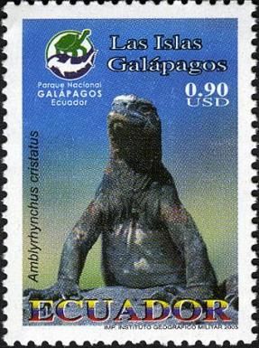 Marine Iguana (Amblyrhychus cristatus)