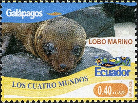 Galapagos Sea Lion (Zalophus wollebaeki)