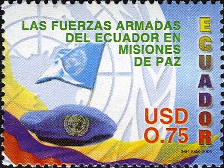 Beret, Flags and UN-Emblem
