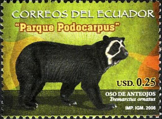 Spectacled Bear (Tremarctos ornatus)