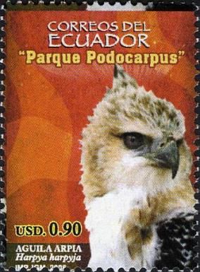Harpy Eagle (Harpia harpyja)