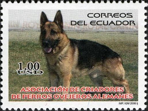German Shepherd Dog