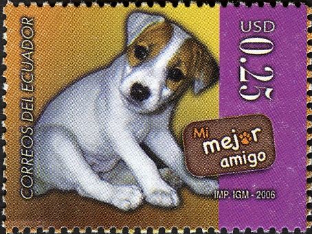 Dog breed